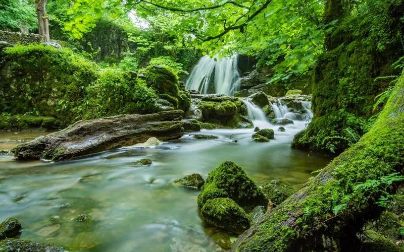 绿色高质量高端